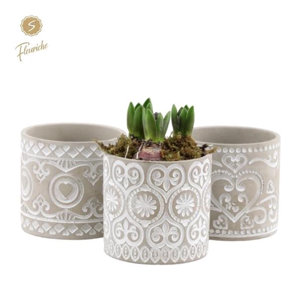 <h4>(3915) Hyacint Verona [L] 3PP</h4>