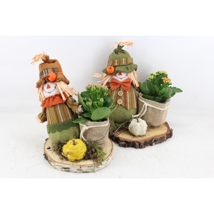 arr2 MB - Hout schijf scarecrow 285/5