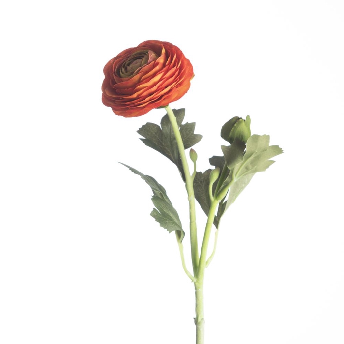<h4>AF Ranunculus L51cm Orange</h4>