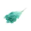Bunch Broom Slv 100g L45