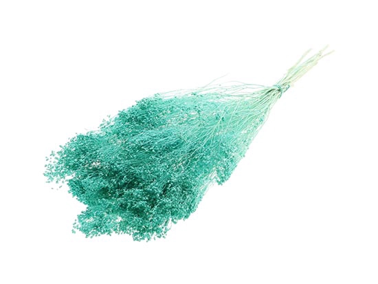 Bunch Broom Slv 100g L45