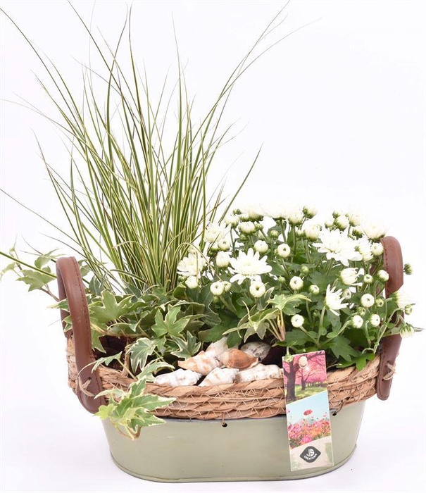 <h4>Zink ovaal groen met jute 23x14cm</h4>