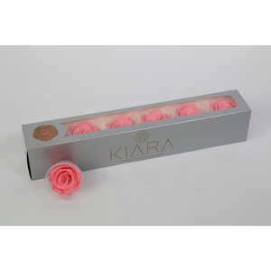 Rosa Preserved Buttermilk