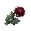 Chrysant Deco Bordeaux