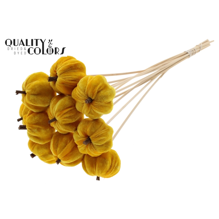 <h4>Velvet Pumpkin Ø6cm on stem Yellow</h4>