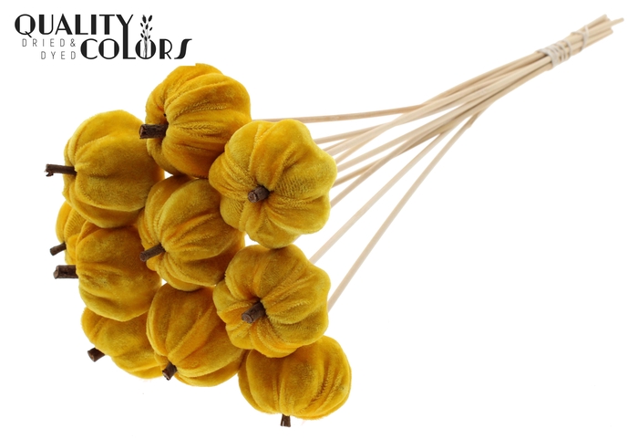 Velvet Pumpkin Ø6cm on stem Yellow
