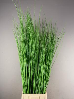 <h4>Willow Bundle Apple Green</h4>