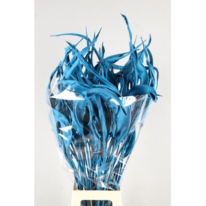 DF Strelitzia Leaf Turquoise