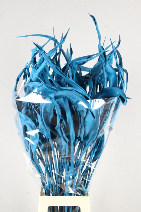 <h4>DF Strelitzia Leaf Turquoise</h4>