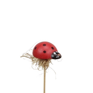 Valentine 20cm Ladybird 3cm