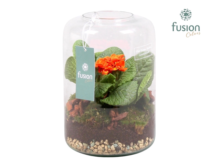 <h4>Green Bottle Isabella Small Voorjaar met Primula Acaulis</h4>