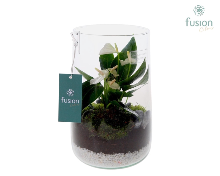 <h4>Green Bottle Deline Large met Anthurium 24 uur levering</h4>