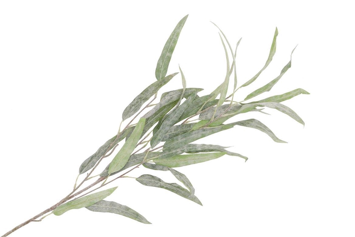 <h4>Silk Groen Viscum Tak 105cm Nm</h4>