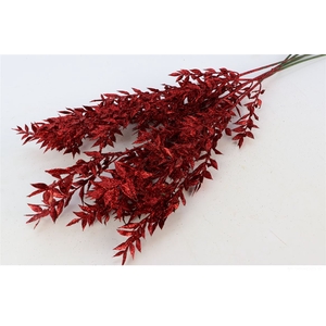 Bunch Ruscus Preserved 5 Pcs Glitter L65