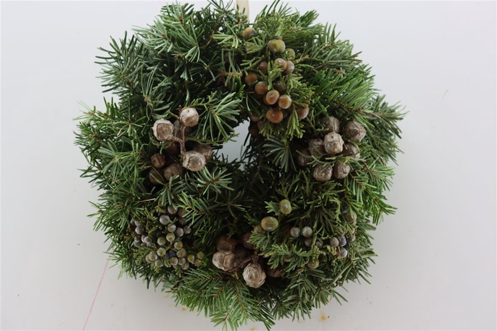 <h4>Wr Advent Nature 20cm ( Anttar )</h4>