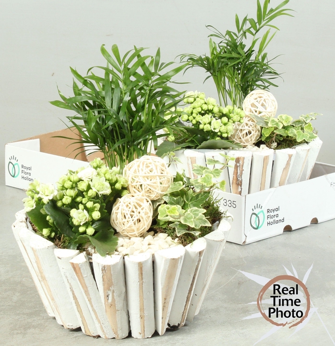 <h4>ARR KAMERPL</h4>