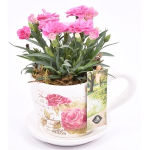 Keramiek K & S roosopdr. 10cm