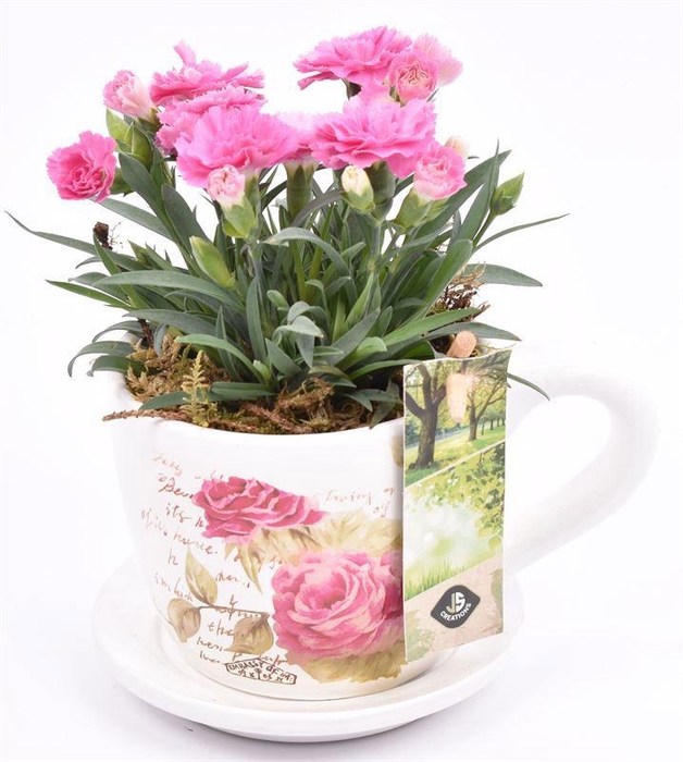 <h4>Keramiek K & S roosopdr. 10cm</h4>