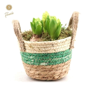 (DN540) Hyacint Straw Basket [L] Mos