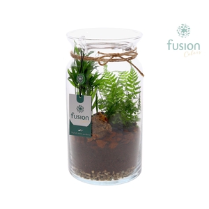 Glas Melkbus met arrangement