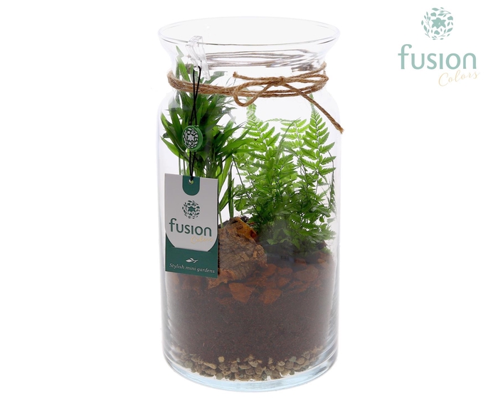 <h4>Glas Melkbus met arrangement</h4>