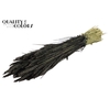 Triticum per bunch Black
