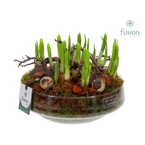 Green Bottle Iris Large met Pasen arrangement