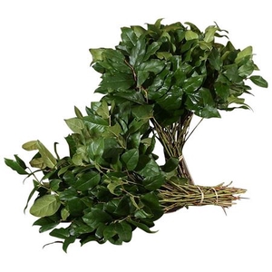 Salal Groot