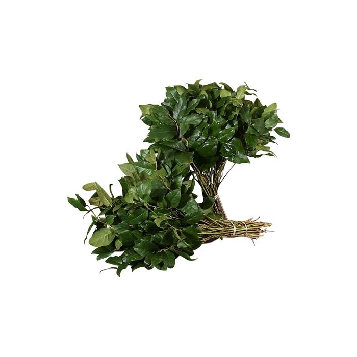 <h4>SALAL EXTRA AIR (LONG)</h4>