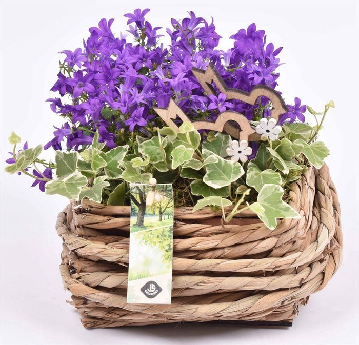 <h4>Touwmand 20x20cm</h4>