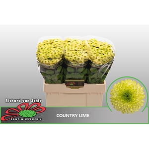 CHR SAN COUNTRY LIME