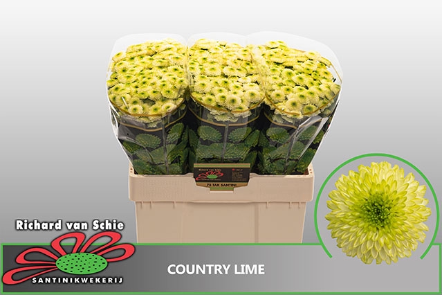 CHR SAN COUNTRY LIME