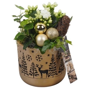 Opm Pt PTCHG5638 X-mas Gold Beton Pot