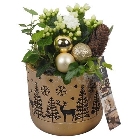 <h4>Opm Pt PTCHG5638 X-mas Gold Beton Pot</h4>