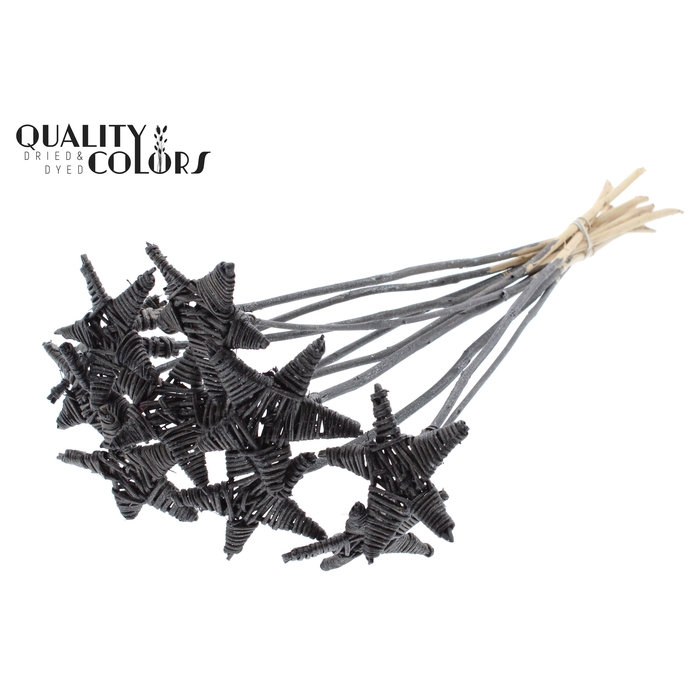 <h4>Lata Star on stem Metallic Graphite</h4>