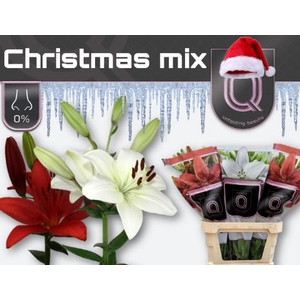 LI LA CHRISTMAS MIX 4+