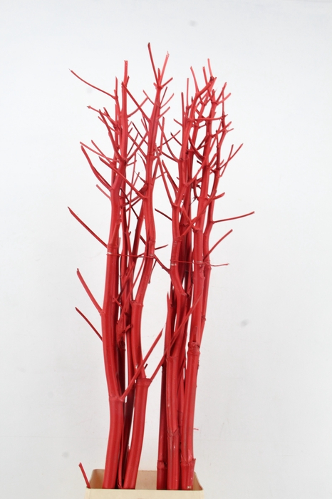 <h4>Ferule Kapstok Red</h4>