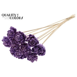Shola New Beauty Rose 6cm on stem Wax Milka