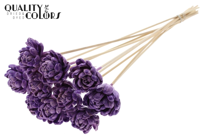 <h4>Shola New Beauty Rose 6cm on stem Wax Milka</h4>