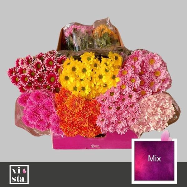 <h4>CHR T GEMENGD</h4>