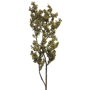 SILK FLOWERS - MOS CEDAR SPRAY BROWN 75CM