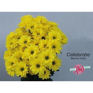 CHR T CELEBRATE