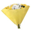 Hoes Angelo Satin Paperlook Paars