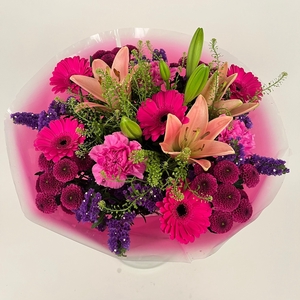 Bq Volume Voltage Purple L