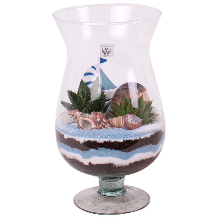 <h4>Opm Maritime Arr. Succulent Glass Cognac</h4>