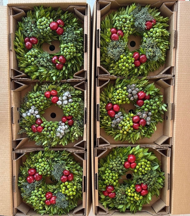<h4>SIERFRUIT KRANS H%</h4>