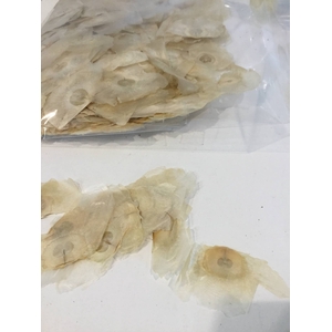 ANGEL WINGS NATURAL 60GR