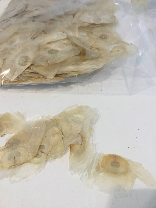 ANGEL WINGS NATURAL 60GR