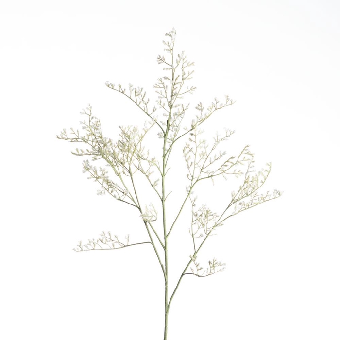 <h4>AF Limonium L82cm White</h4>