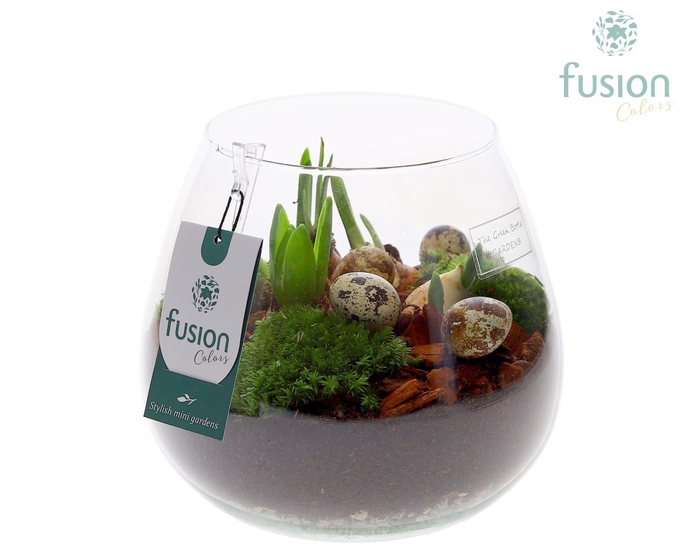 <h4>Green Bottle Abby Medium Pasen met Bollen mix</h4>